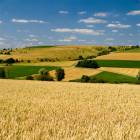 immagine relativa a  Agriturismo Grosseto