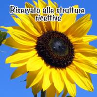 immagine relativa a Pacchetto Girasole