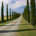 immagine relativa a  Casa vacanze Firenze
