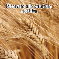 immagine relativa a Pacchetto Spiga