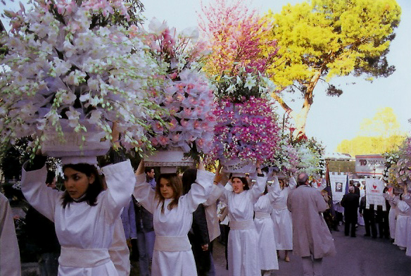 Processione